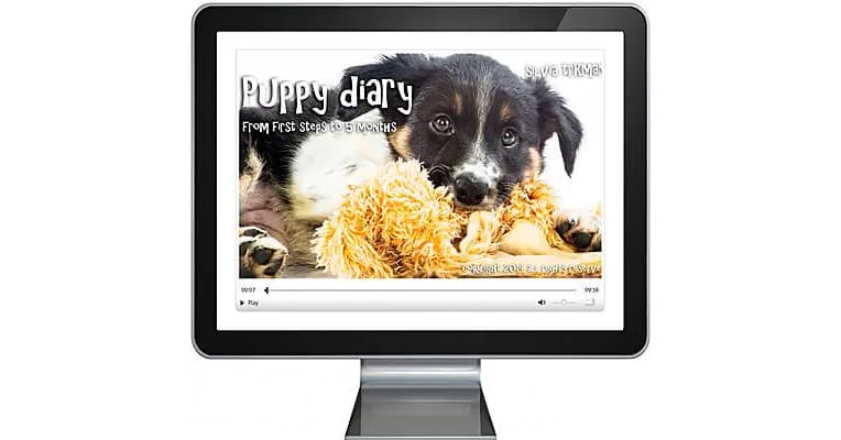 Puppy Diary