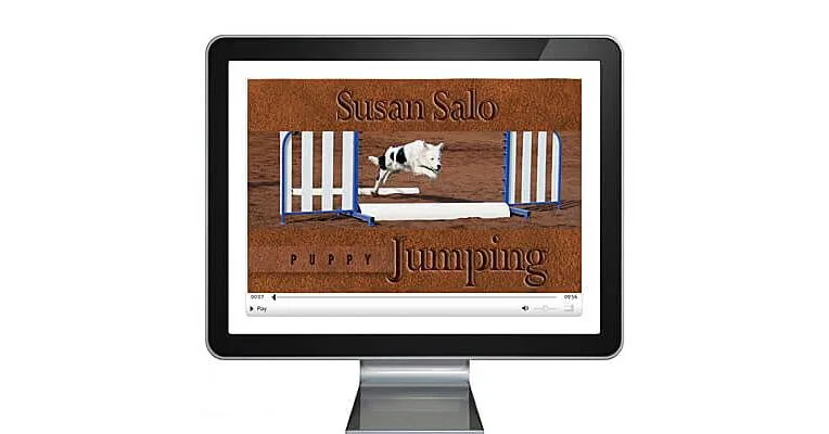 Puppy Jumping