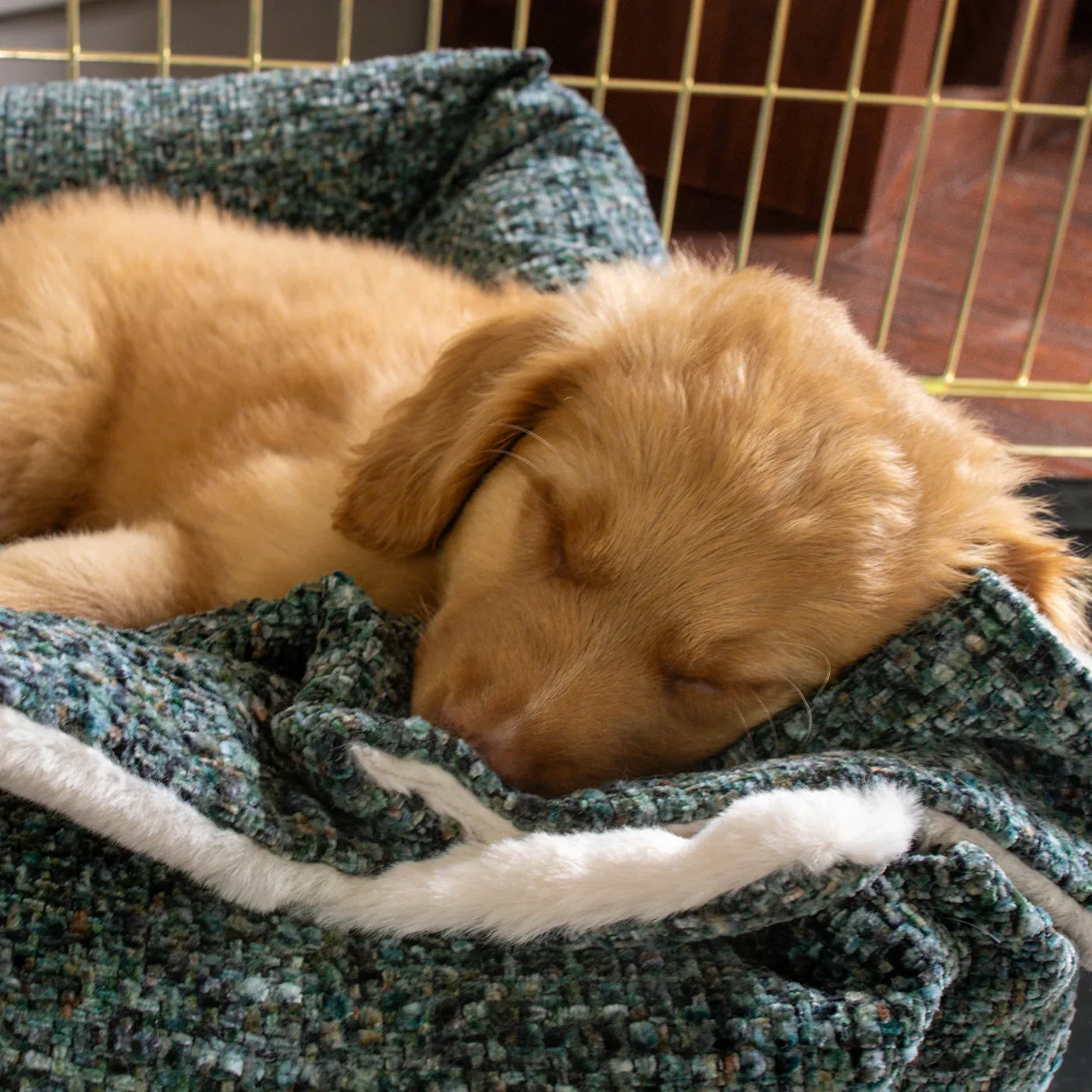 Puppy Scent Blanket in Emerald Minerals by Lords & Labradors