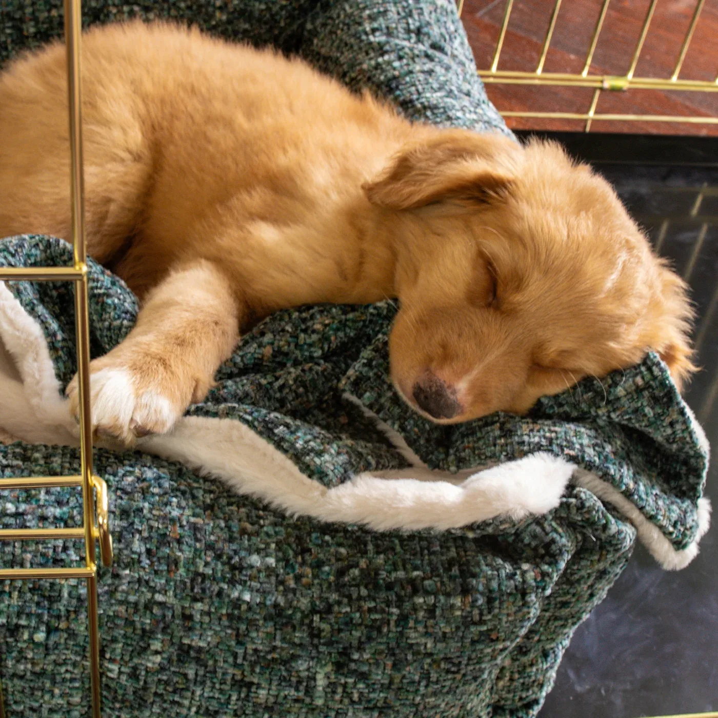Puppy Scent Blanket in Emerald Minerals by Lords & Labradors - Image 2