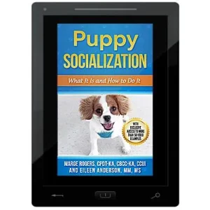 Puppy Socialization: What It Is and How to Do It E