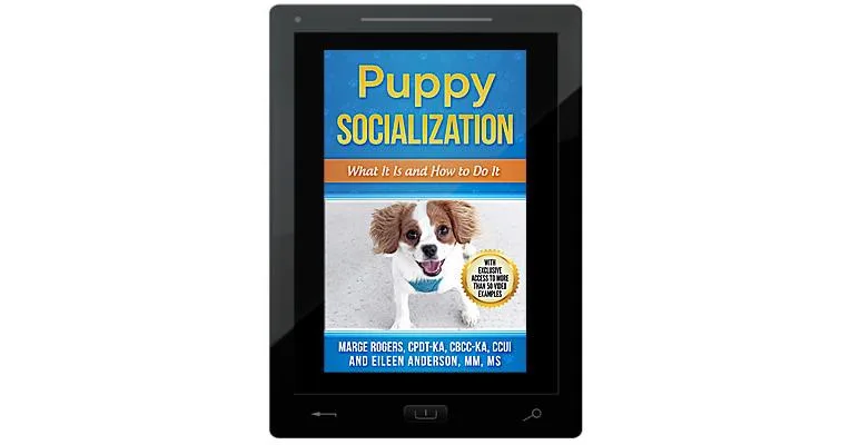 Puppy Socialization: What It Is and How to Do It E