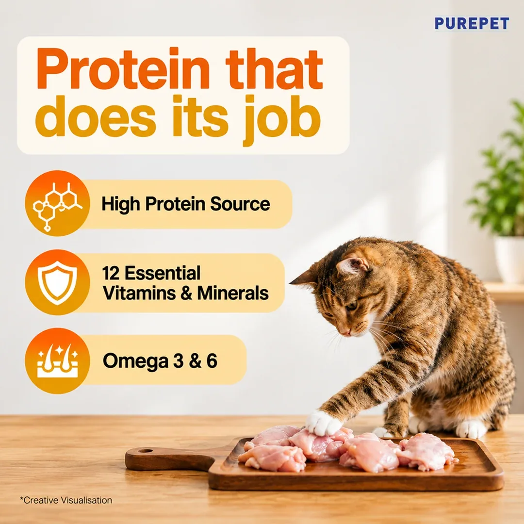Purepet Real Chicken Adult Dry Cat Food - Image 2
