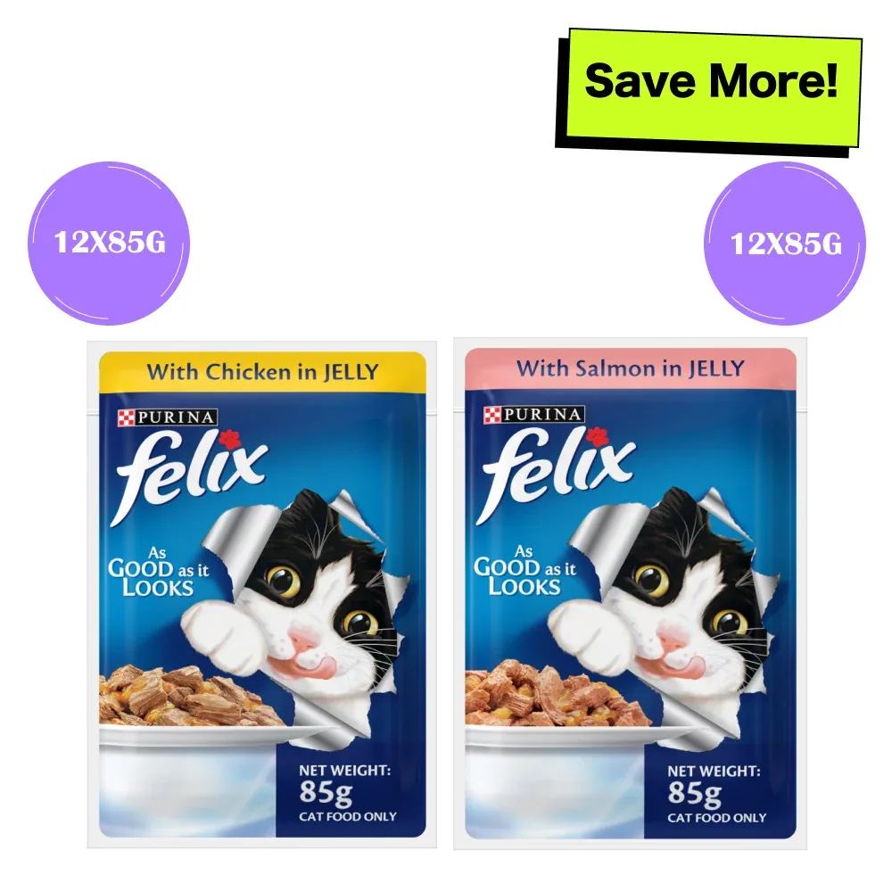 Purina Felix with Chicken and Salmon in Jelly Adult Cat Wet Food