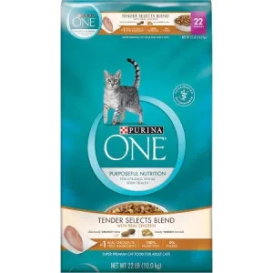 Purina One Chicken and Rice Cat Food 22lb{l-1}178318