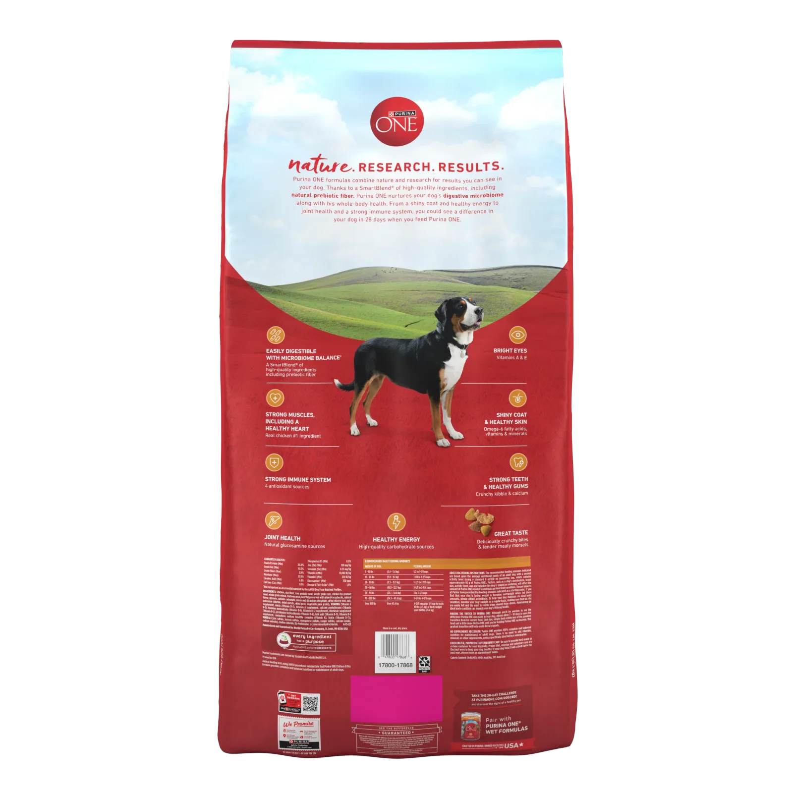 Purina ONE Chicken and Rice Formula Dry Dog Food - Image 2