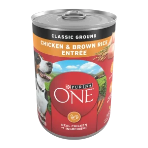 Purina ONE Classic Ground Chicken and Brown Rice Entree Adult Wet Dog Food