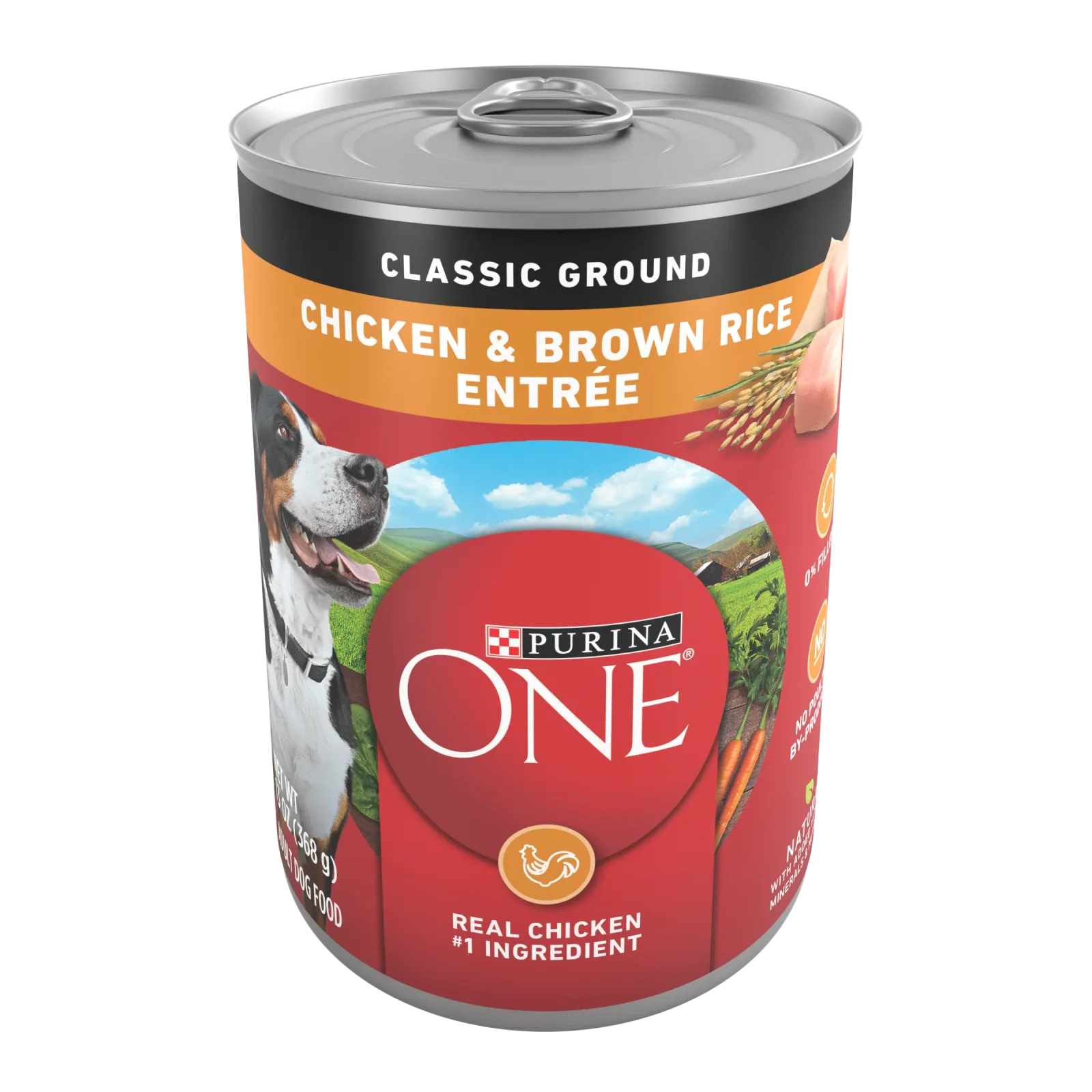 Purina ONE Classic Ground Chicken and Brown Rice Entree Adult Wet Dog Food