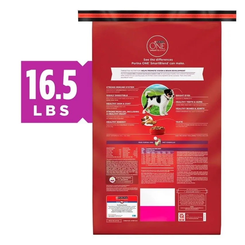 Purina ONE Healthy Puppy Chicken Recipe Dry Dog Food - Image 2