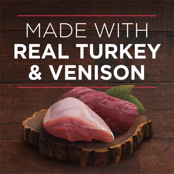 Purina ONE High Protein Wet Dog Food True Instinct Tender Cuts in Dog Food Gravy With Real Turkey and Venison - Image 2