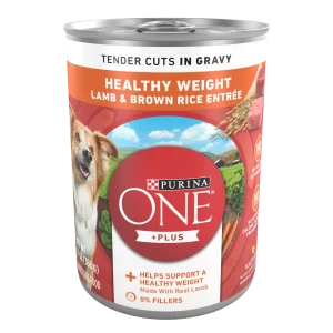 Purina ONE Plus Tender Cuts in Gravy Healthy Weight Lamb and Brown Rice Entree in Wet Dog Food Gravy