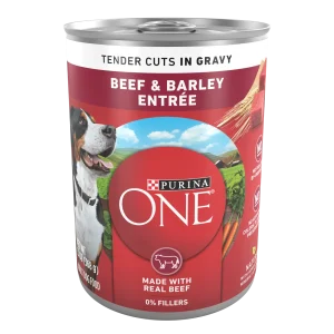 Purina ONE Tender Cuts in Gravy Beef and Barley Entree in Wet Dog Food Gravy
