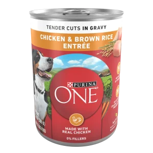 Purina ONE Tender Cuts in Wet Dog Food Gravy Chicken and Brown Rice Entree