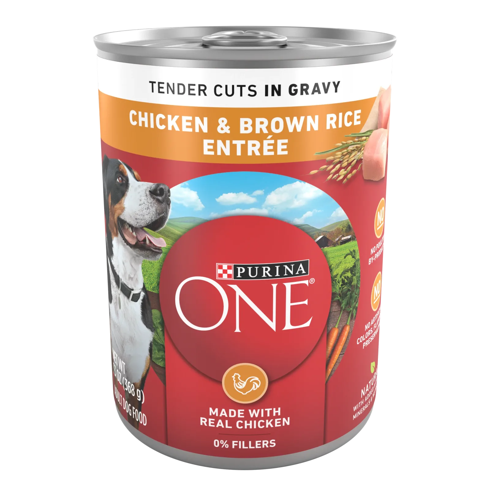 Purina ONE Tender Cuts in Wet Dog Food Gravy Chicken and Brown Rice Entree