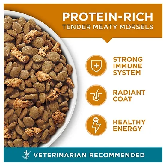 Purina ONE Tender Selects Adult Indoor/Outdoor Chicken Recipe Natural Dry Cat Food, 7lb - Image 2