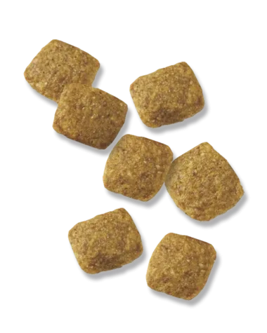 Purina Pro Plan Focus Adult Weight Management Formula Dry Dog Food - Image 2