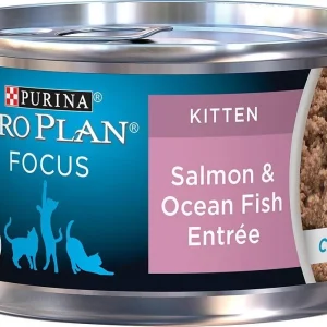 Purina Pro Plan Focus Kitten Classic Salmon & Ocean Fish Entree Canned Cat Food