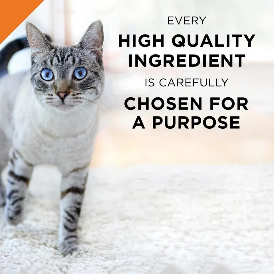 Purina Pro Plan Savor Adult Seafood Stew Entree in Sauce Canned Cat Food - Image 2