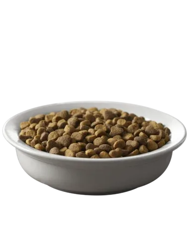 Purina Pro Plan Savor Salmon & Rice Formula Adult Dry Cat Food - Image 2