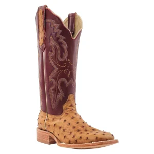 R Watson Boots Women's Antique Saddle FQ Ostrich 13 in Antique Sienna Top