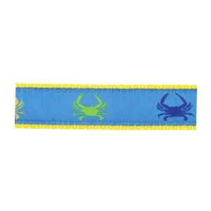 Rainbow Crab