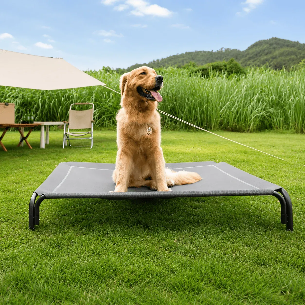 Raised Dog Bed with Breathable Mesh - Image 2
