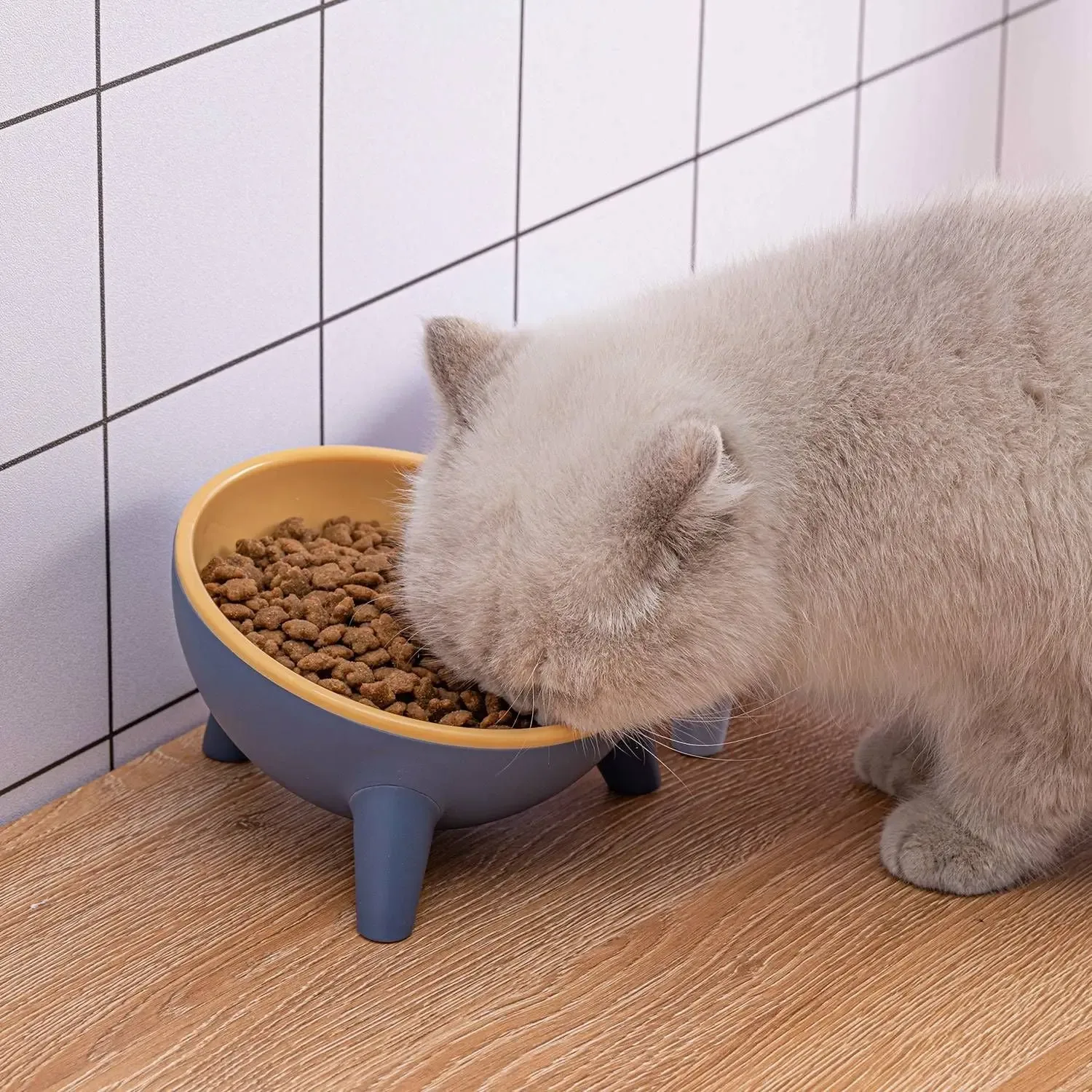 Raised Pet Bowl – Tilted Feeding Bowl for Cats & Small Dogs