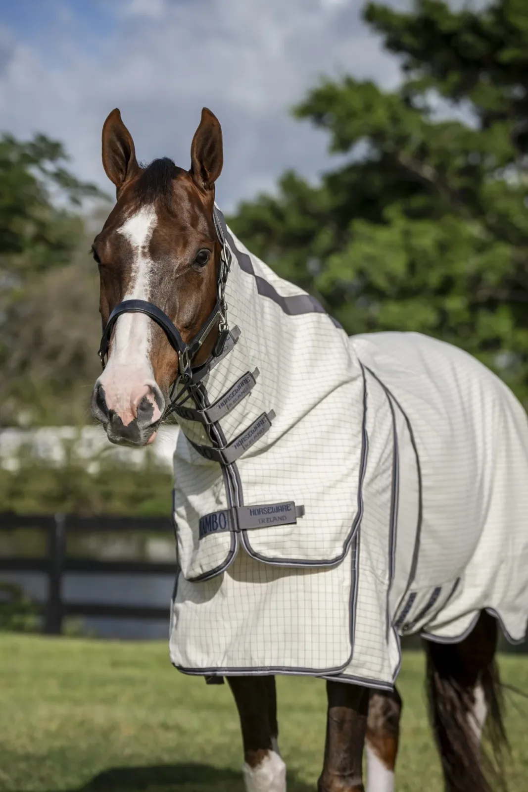 Rambo Optimo Supreme Summer Sheet Plus - Image 2