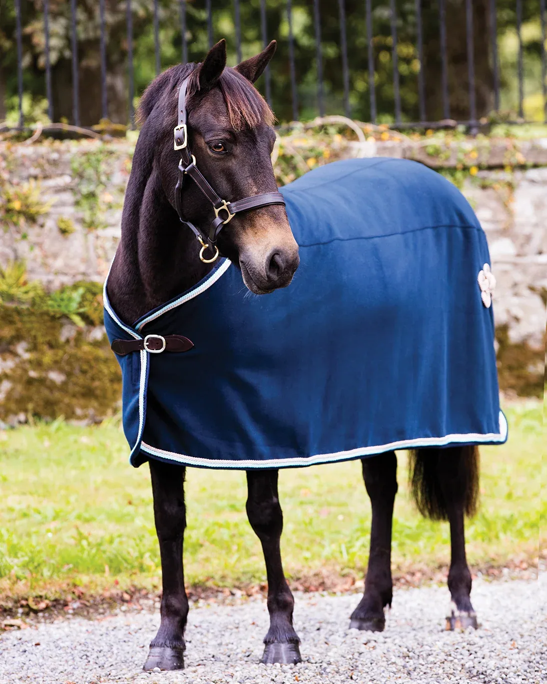Rambo® Show Blanket
