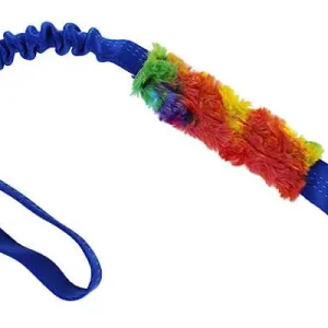 Raspberry Rainbow Bungee Tug