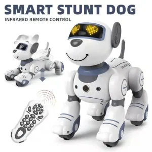 RC Smart Robot Toy