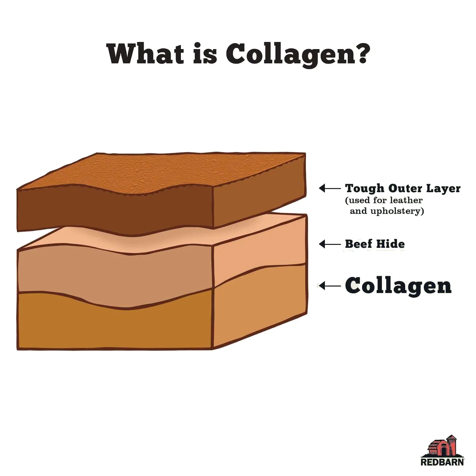 RedBarn Collagen Braid - Image 2