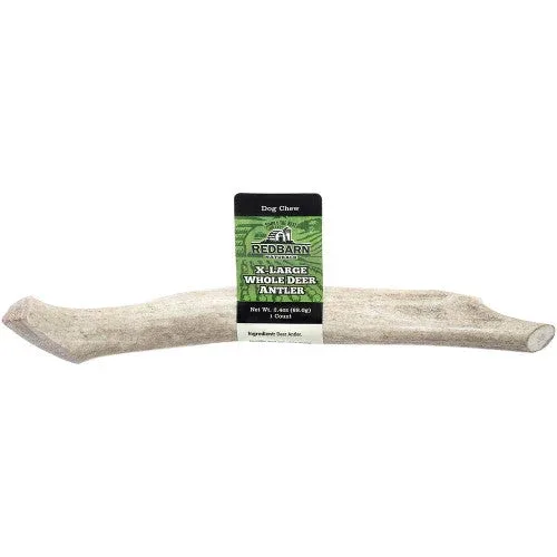 Redbarn Natural Deer Antler Dog Treat Whole XL 2.4oz - Image 2