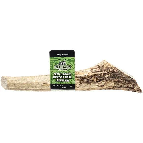 Redbarn Natural Elk Antler Dog Treat Whole XXL 5.7oz - Image 2