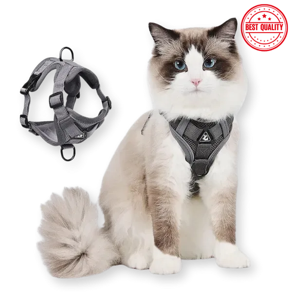 Reflective Vest Harness & Leash – Breathable for Dogs & Cats