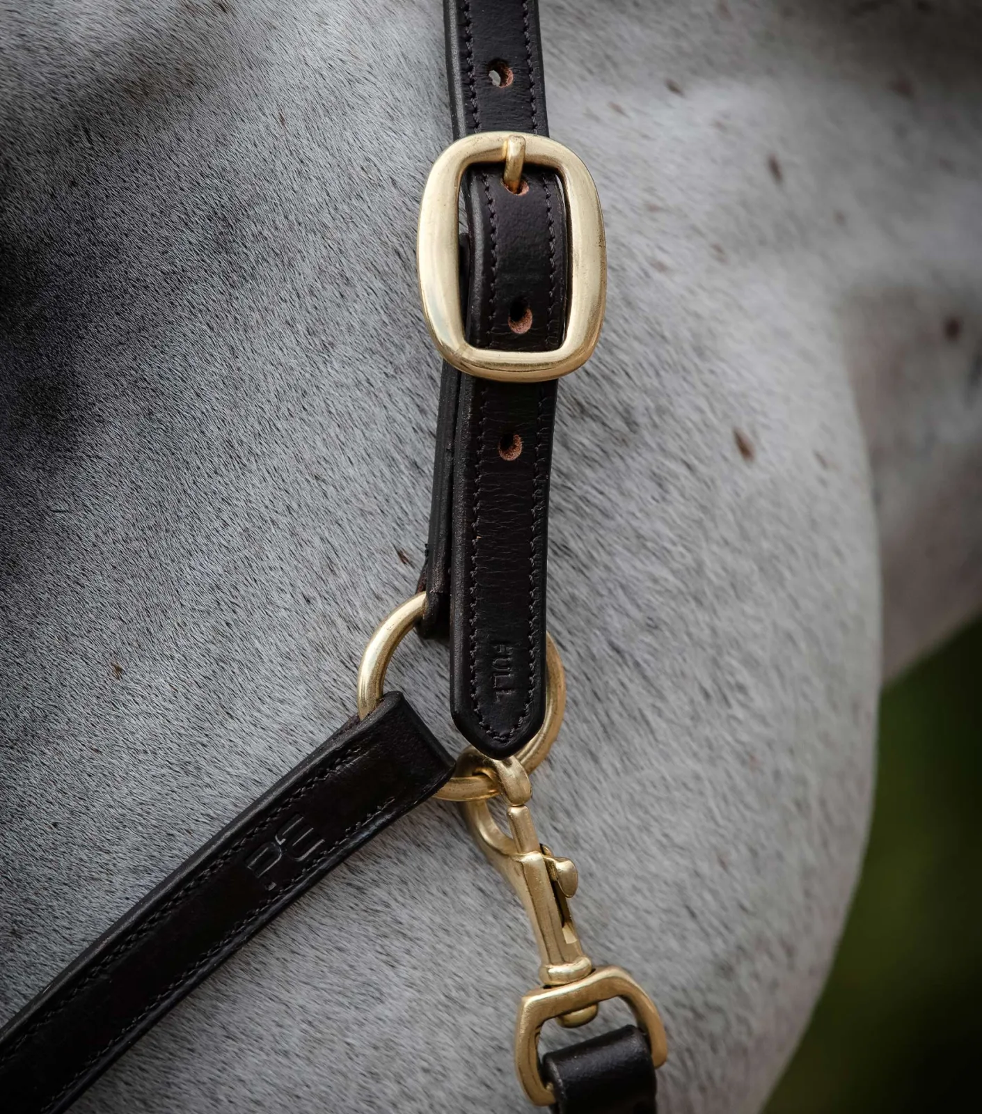 Rego Padded Leather Head Collar Brown - Image 2