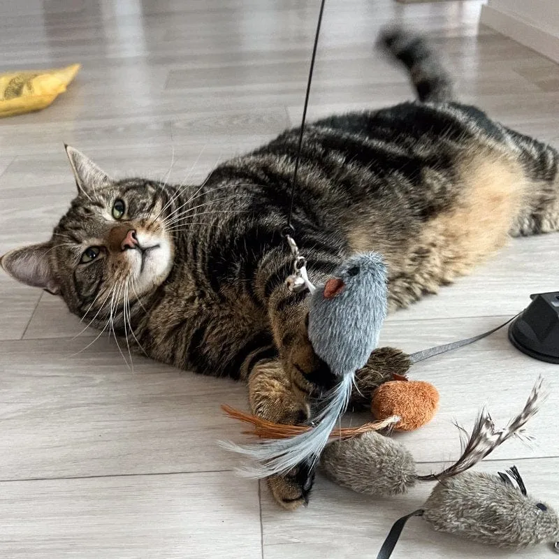 Replacement Mice (for Interactive Bird Simulation Cat Toy) - Image 2