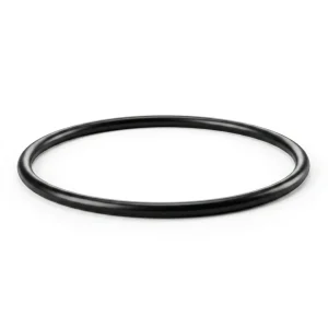 Replacement O-Ring for Iwaki MD-100RLT Water Pump