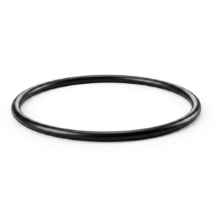 Replacement O-Ring for Iwaki MD-20RT / MD-20RXT Water Pump