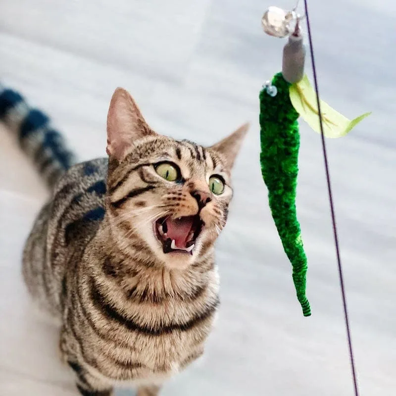 Replacement Worms (for Interactive Bird Simulation Cat Toy Set) - Image 2