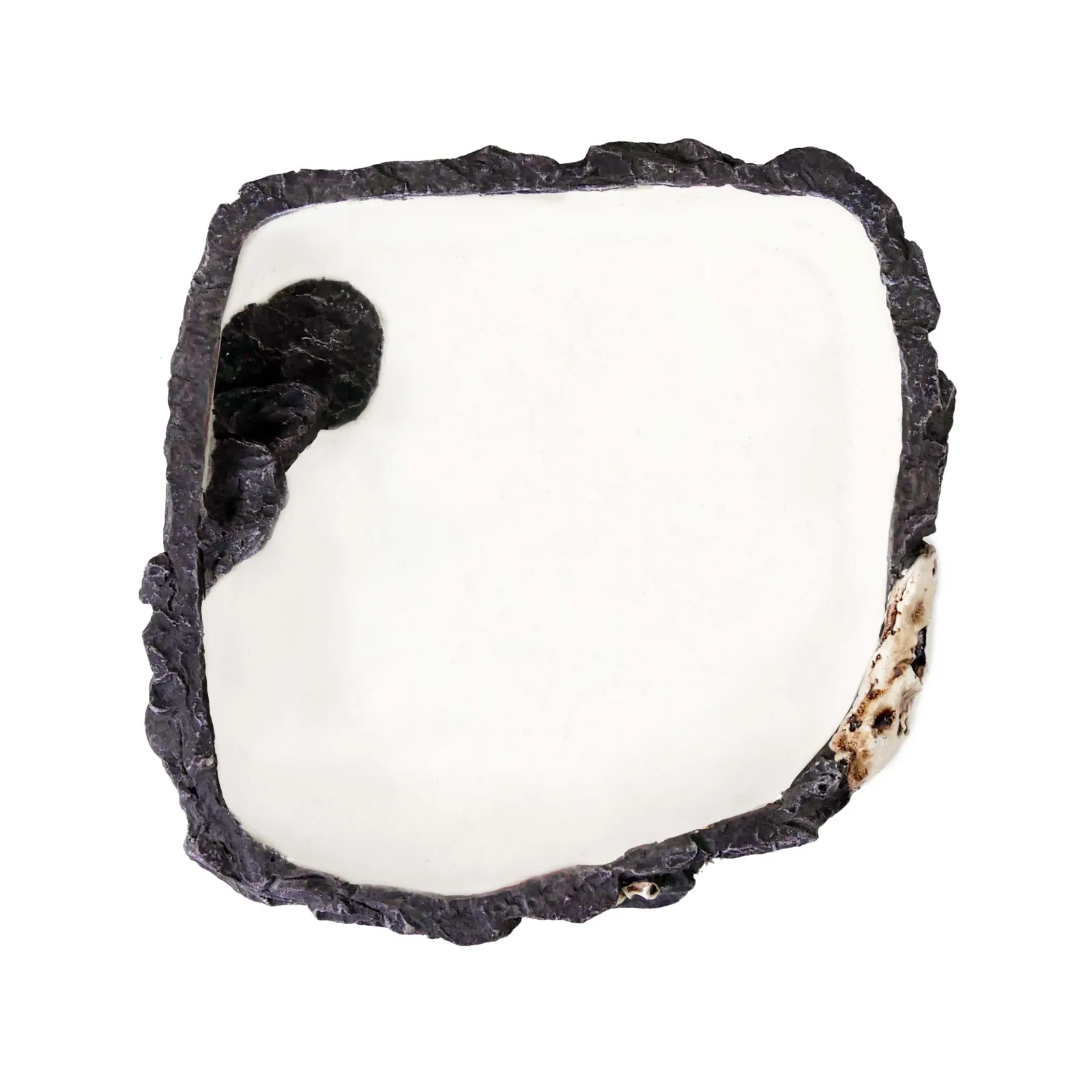 Reptology Fossil Rock Food / Water Dish – Great for Reptiles and Amphibians – Large - Image 2