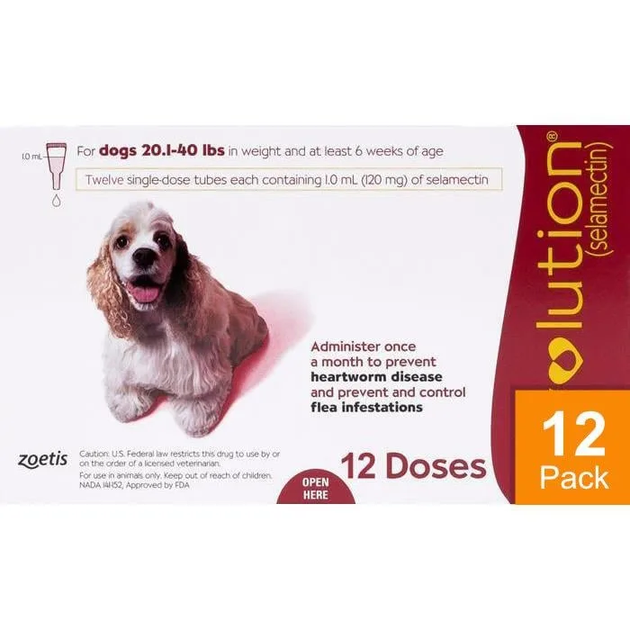 Revolution For Dogs 22-44lbs (10-20kg) - 12 Pack