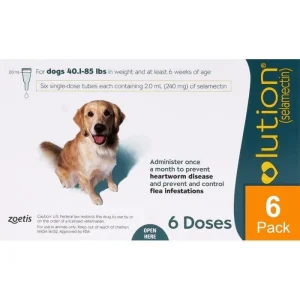 Revolution For Dogs 44-88lbs (20-40kg) - 6 Pack