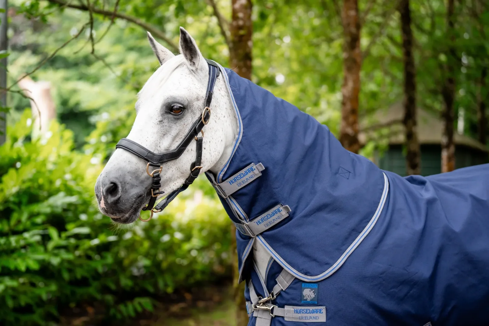 Rhino Plus Pony Turnout 100g - Image 2