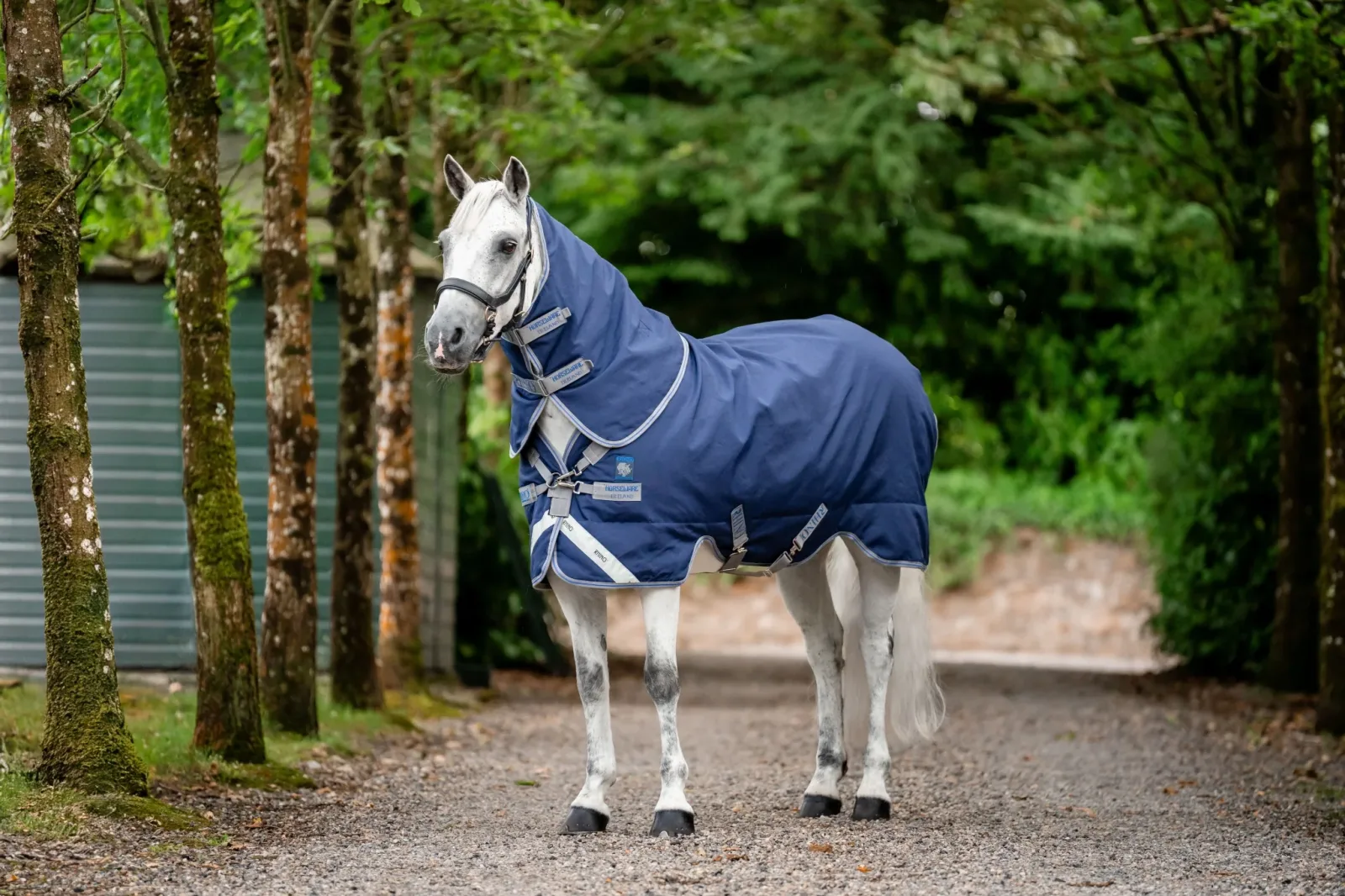 Rhino Plus Pony Turnout 100g