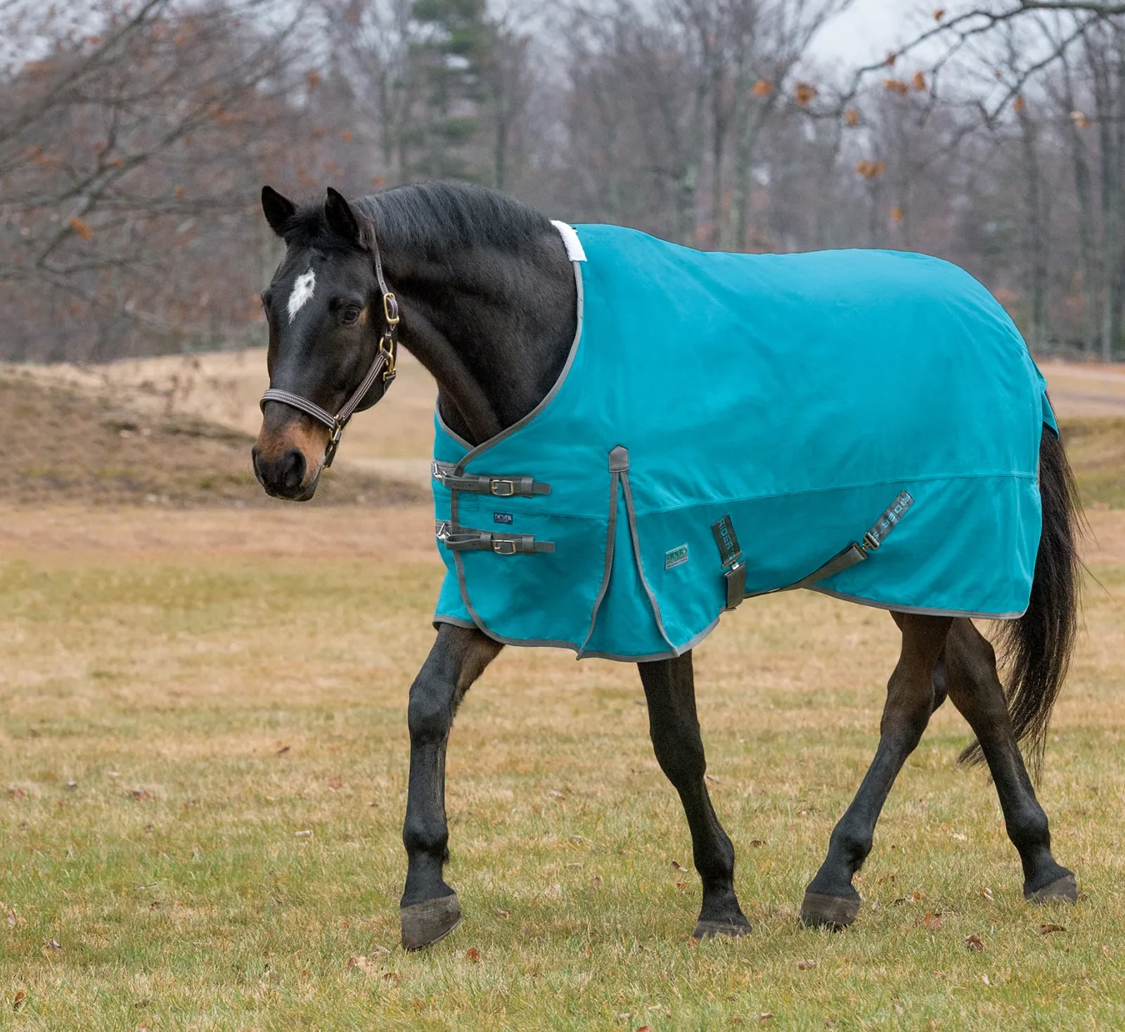Rider’s International™ Supreme Heavyweight Turnout Blanket - Image 2