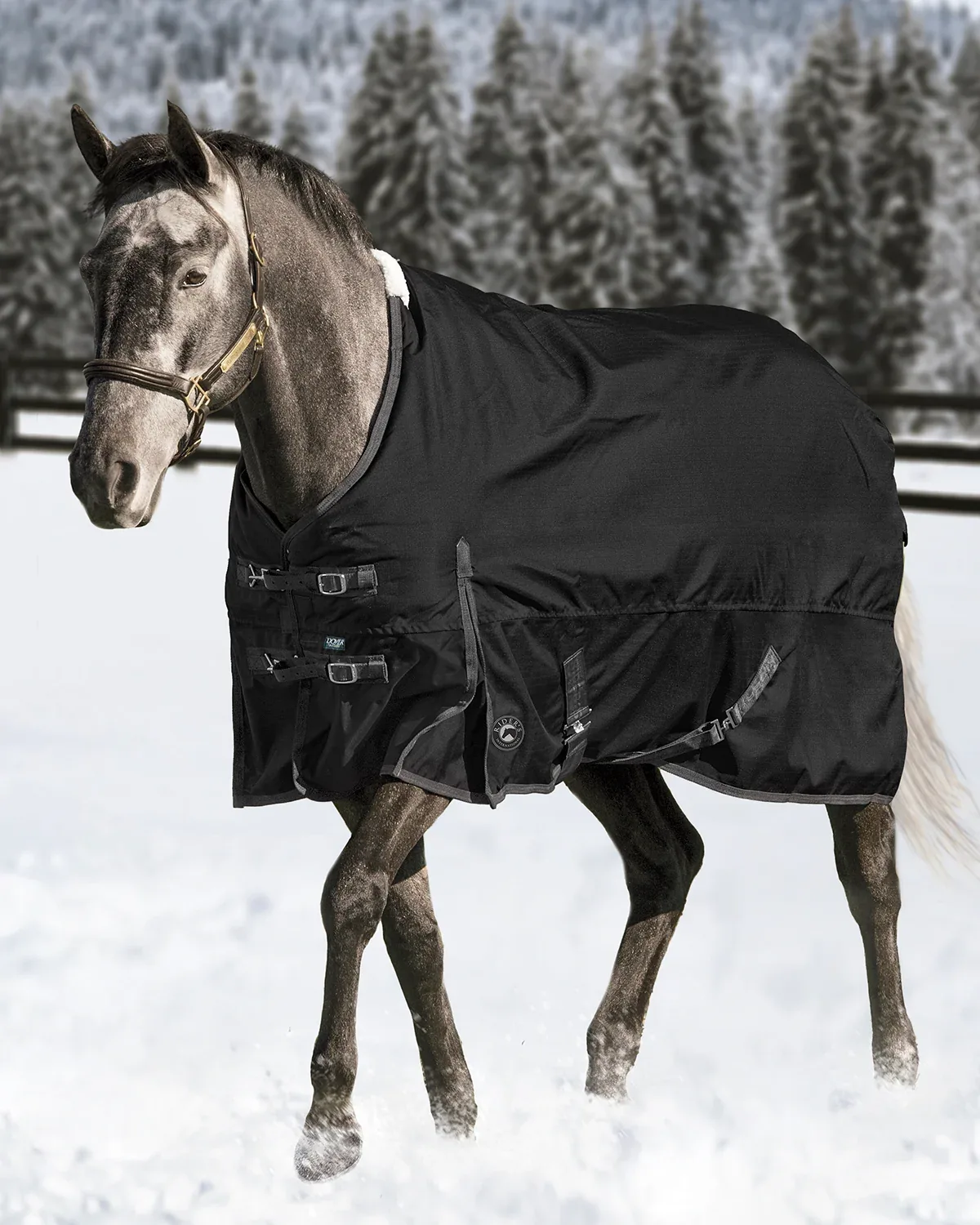 Rider’s International™ Supreme Medium-Weight Turnout Blanket