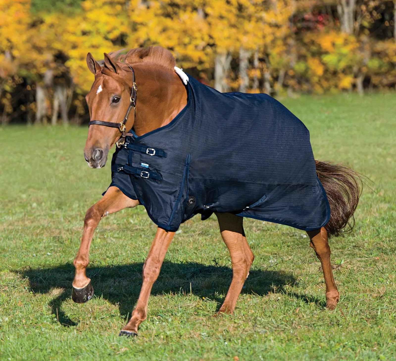 Rider’s International™ Supreme Medium-Weight Turnout Blanket - Image 2