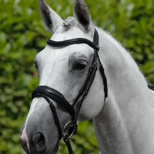 Rizzo Anatomical Snaffle Bridle with Flash Black
