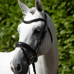 Rizzo Anatomical Snaffle Bridle with Flash Brown